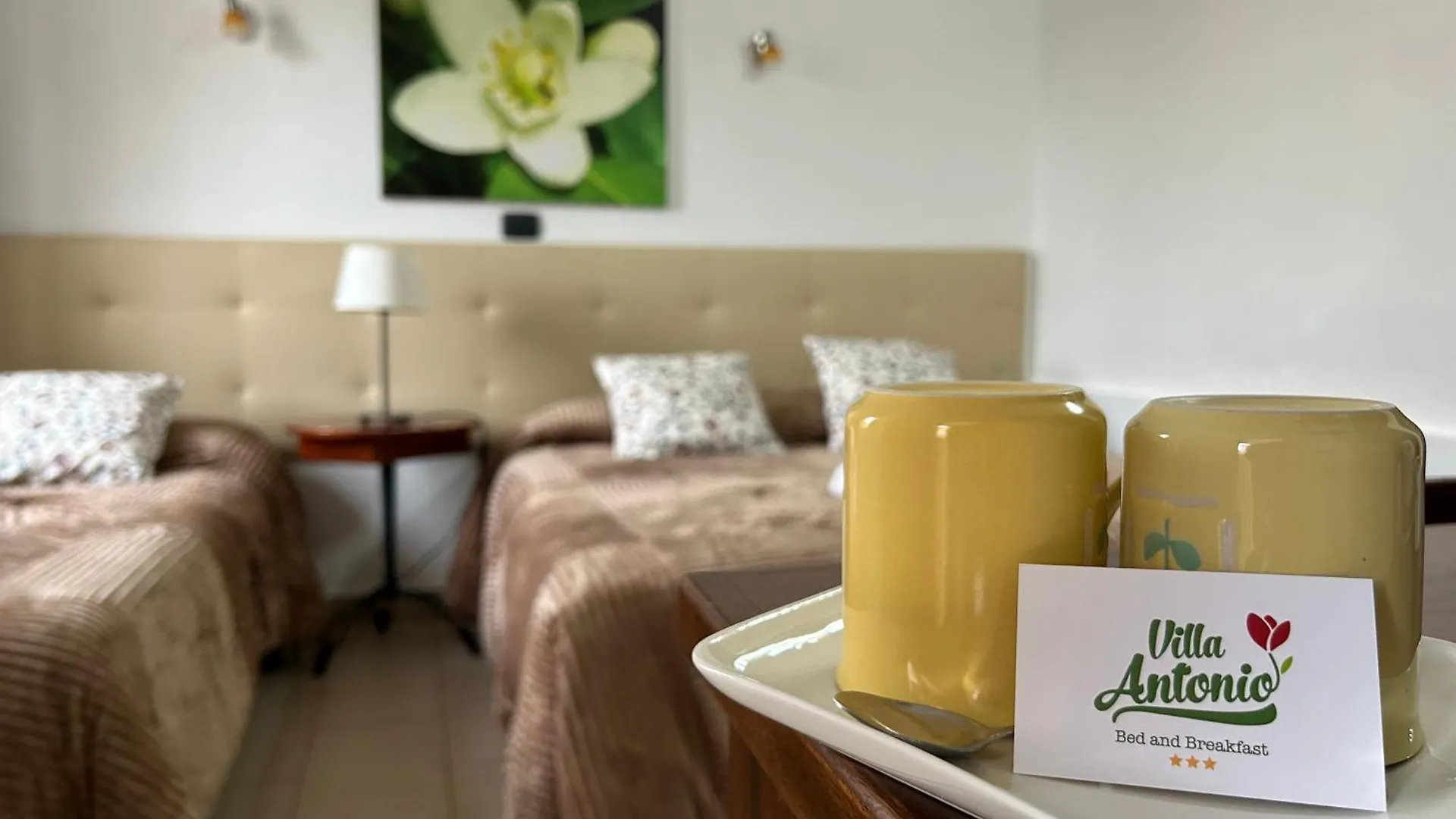 Bed & Breakfast B&B Villa Da Antonio Caltanissetta